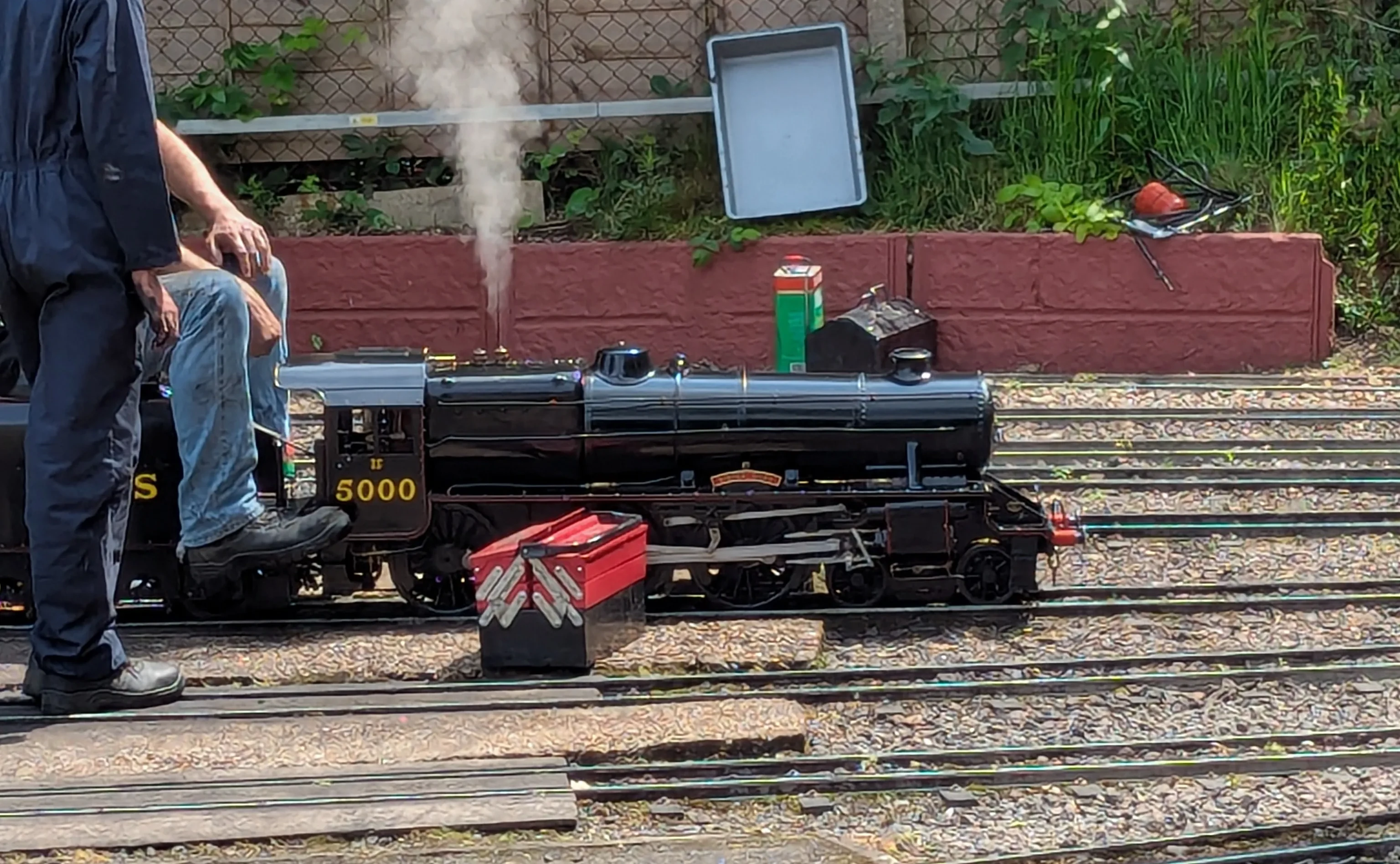 At the Great Cockcrow Railway